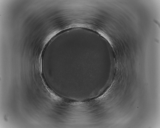 X0000098011127200803281306