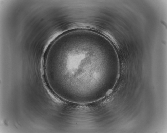 X0000098011128200803281306