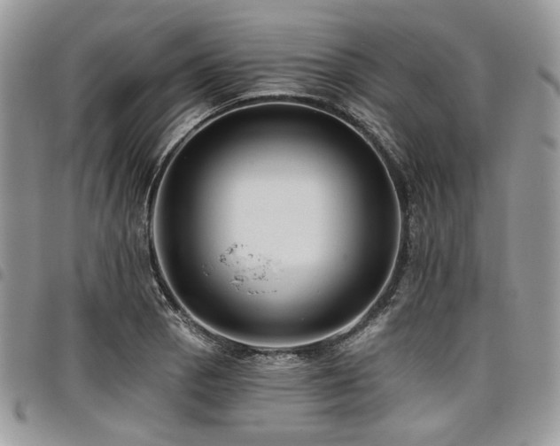 X0000098011129200803281306