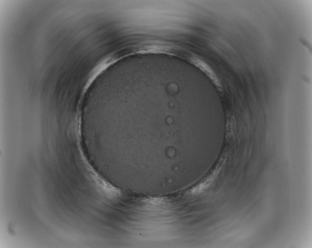 X0000098011130200803281306