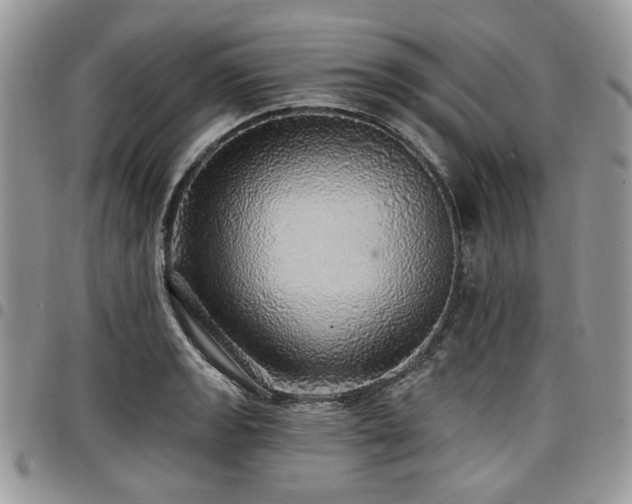 X0000098011133200803281306