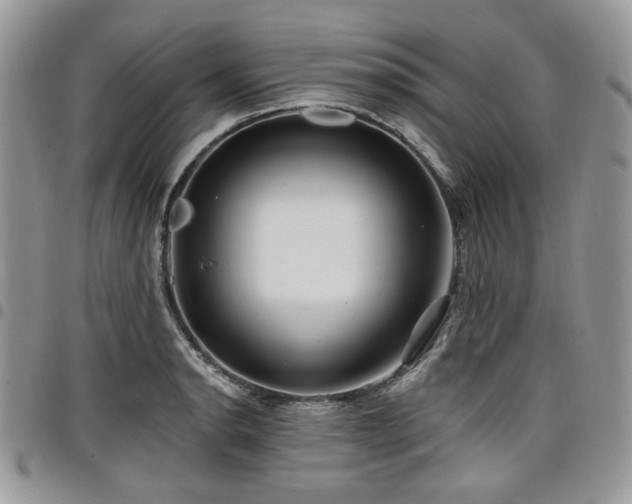 X0000098011134200803281306