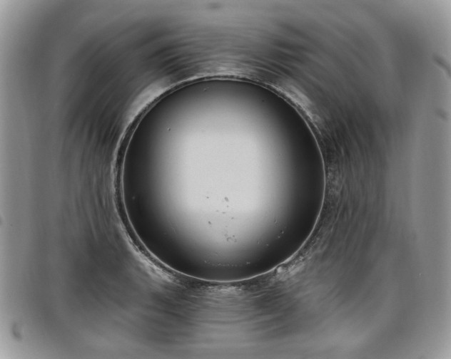 X0000098011135200803281306