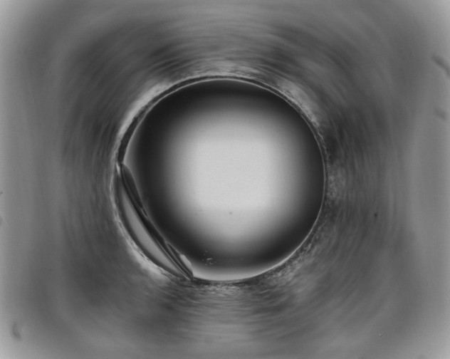 X0000098011136200803281306