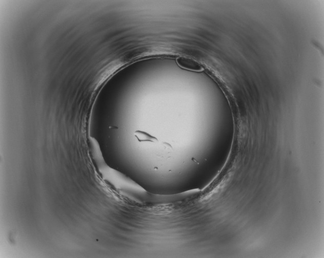 X0000098011137200803281306