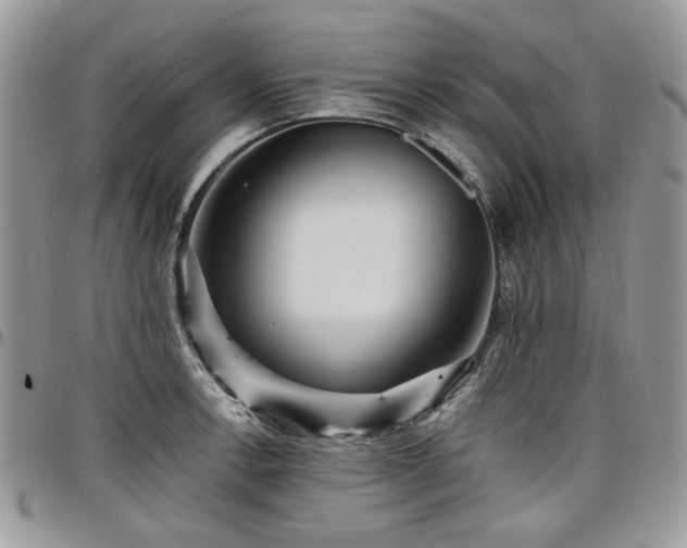 X0000098011138200803281306