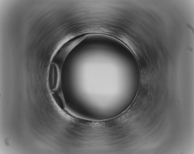 X0000098011139200803281306