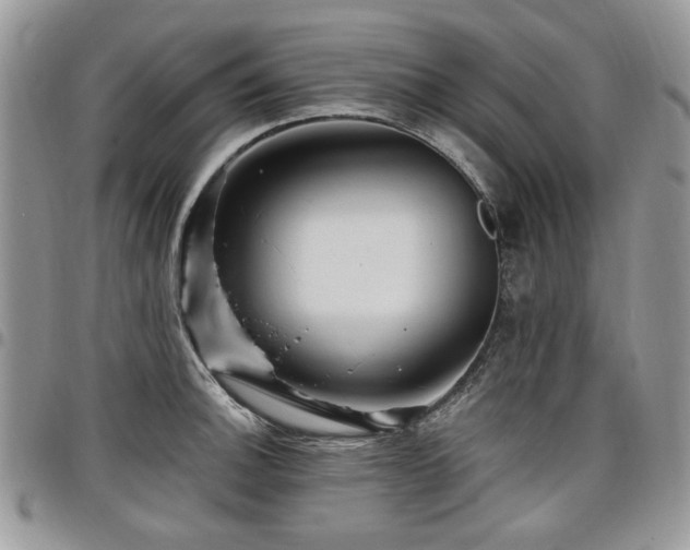 X0000098011140200803281306