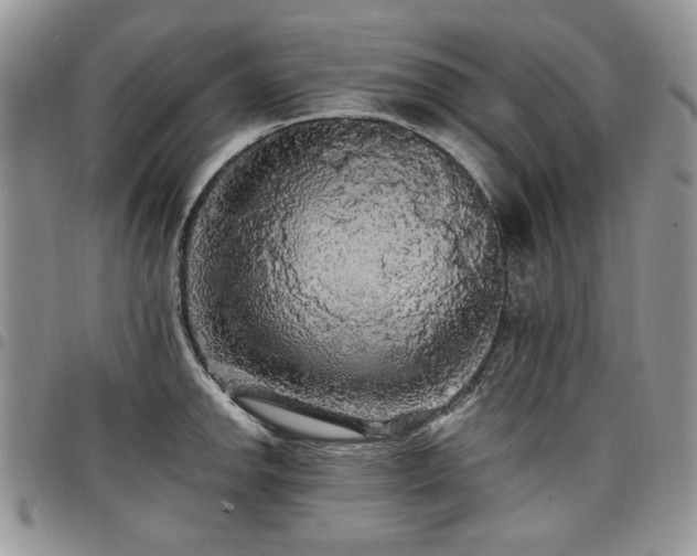 X0000098011142200803281306