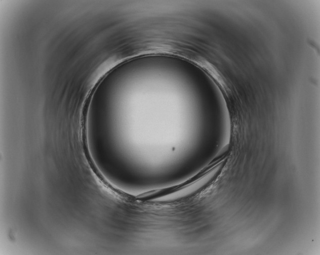 X0000098011143200803281306