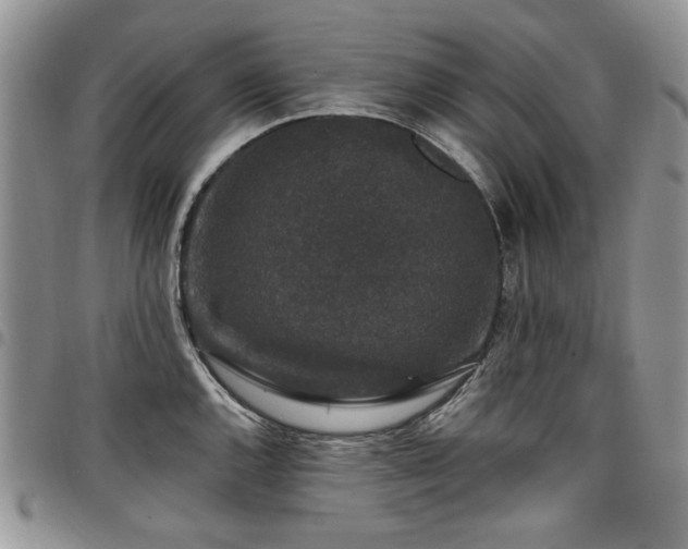 X0000098011144200803281306