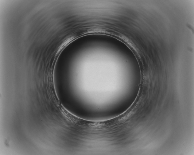 X0000098011145200803281306