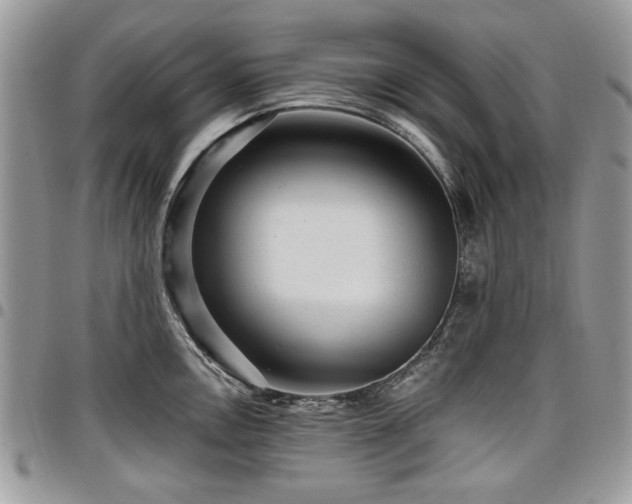 X0000098011146200803281306