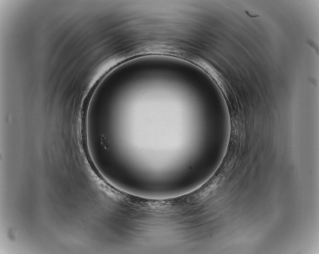 X0000098011147200803281306