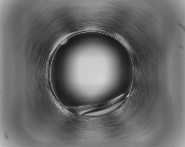 X0000098011148200803281306