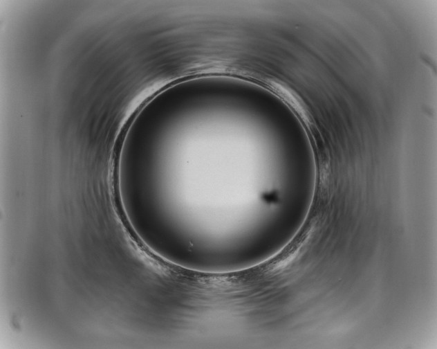 X0000098011149200803281306