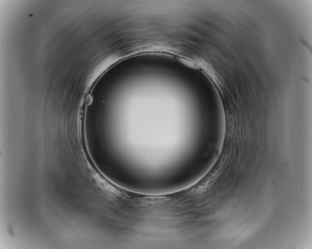 X0000098011151200803281306