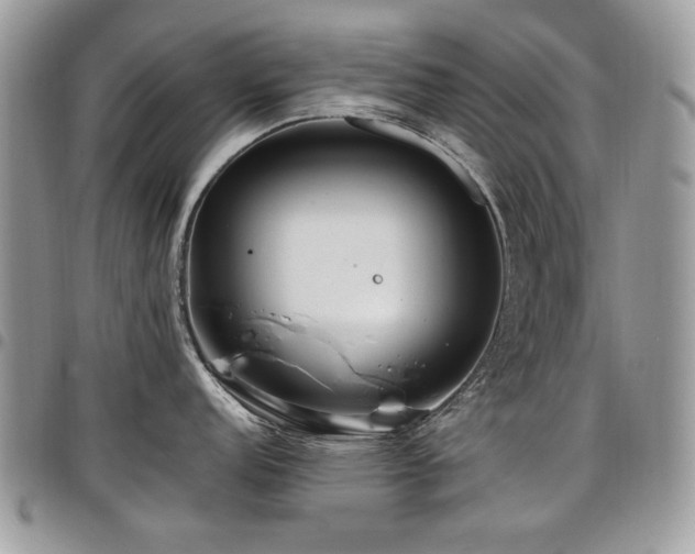 X0000098011152200803281306