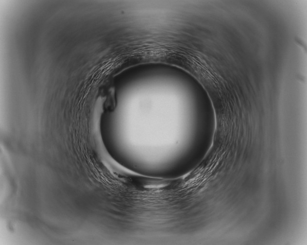 X0000098011153200803281306