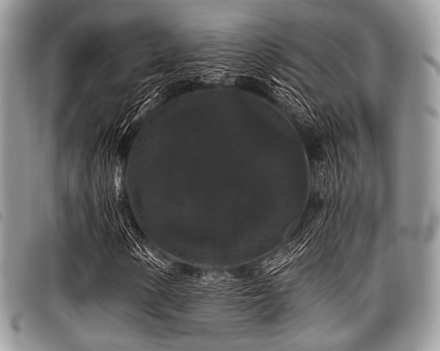 X0000098011154200803281306