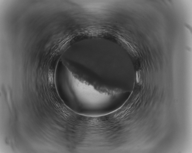 X0000098011155200803281306