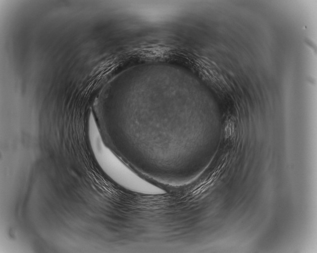 X0000098011156200803281306