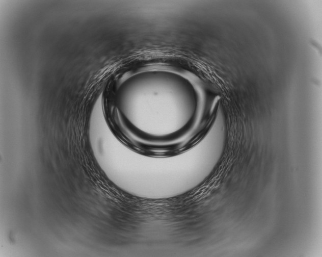 X0000098011157200803281306