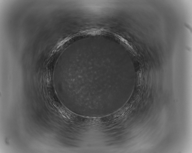 X0000098011158200803281306