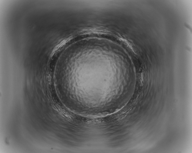 X0000098011159200803281306