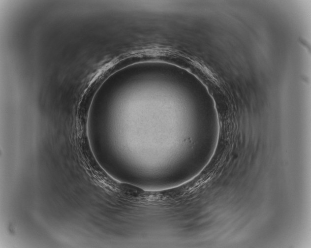 X0000098011160200803281306