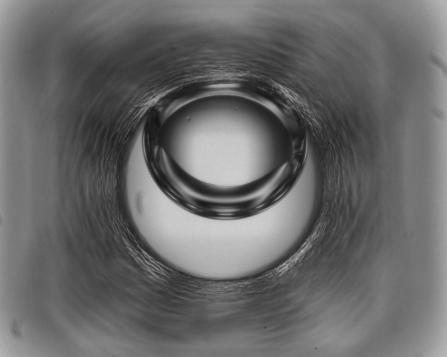 X0000098011161200803281306