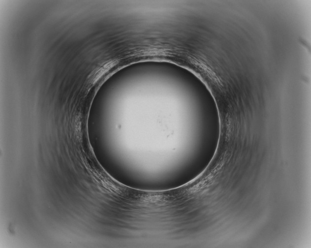 X0000098011162200803281306