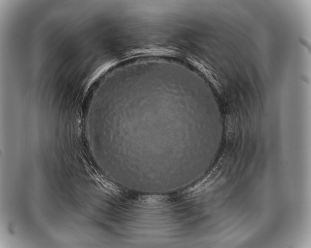 X0000098011163200803281306