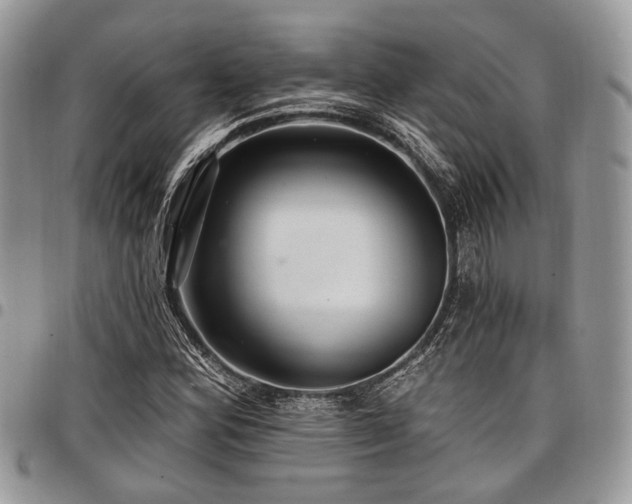 X0000098011164200803281306