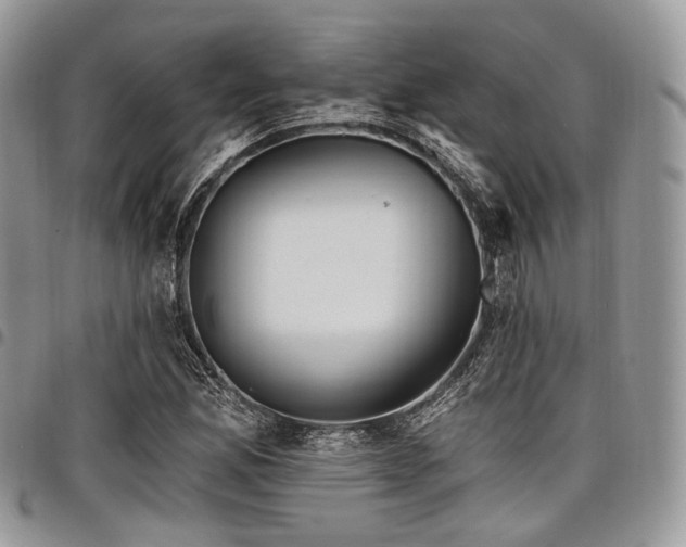 X0000098011165200803281306