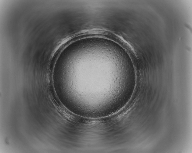 X0000098011166200803281306