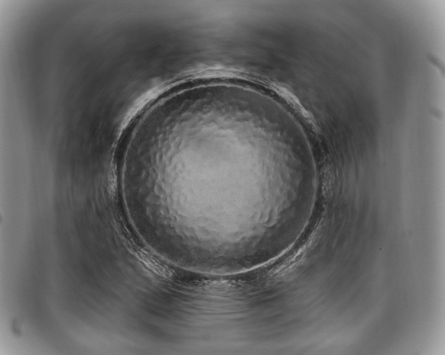 X0000098011167200803281306