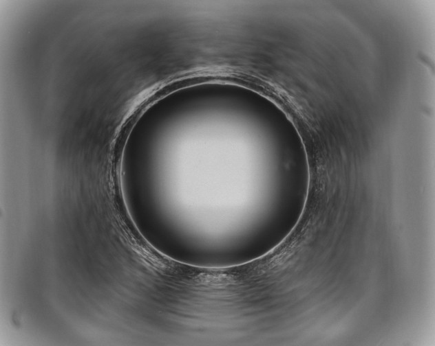 X0000098011168200803281306