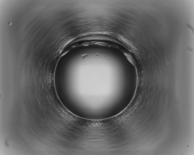 X0000098011169200803281306