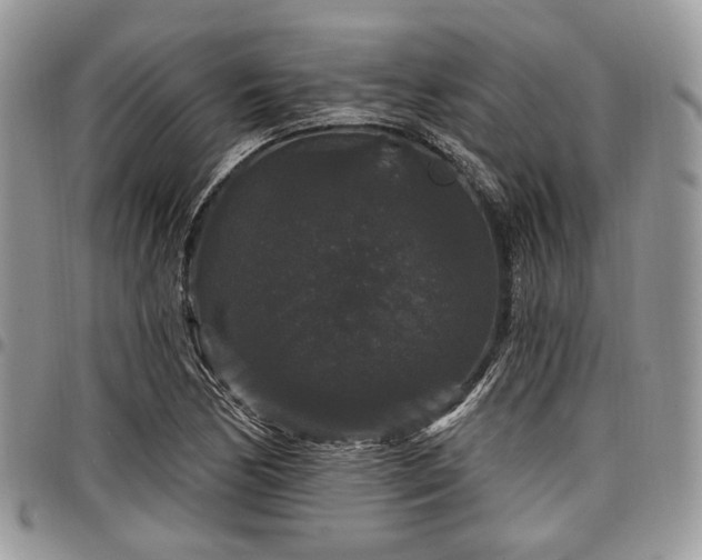 X0000098011170200803281305