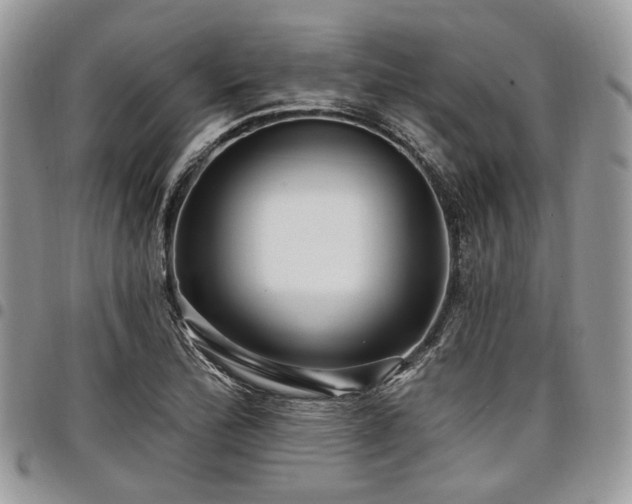 X0000098011172200803281305