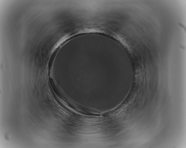 X0000098011173200803281305