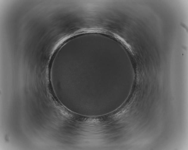 X0000098011174200803281305