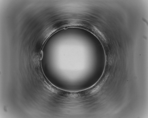 X0000098011177200803281305