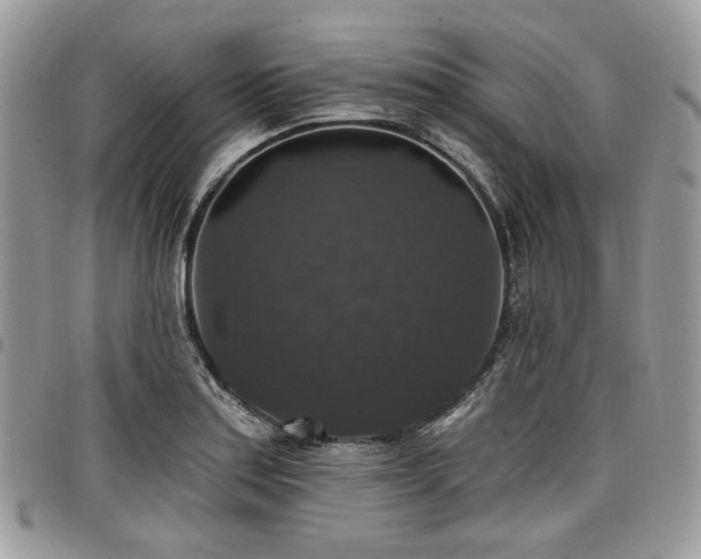 X0000098011179200803281305