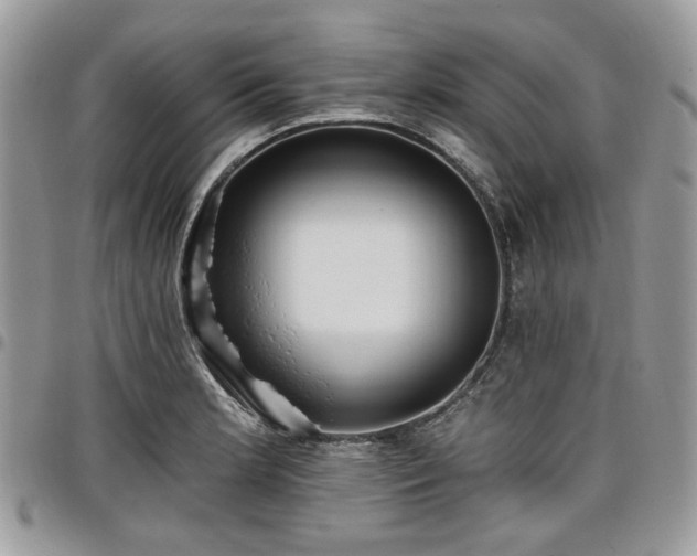 X0000098011181200803281305