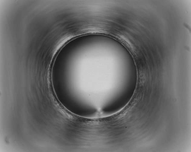 X0000098011182200803281305