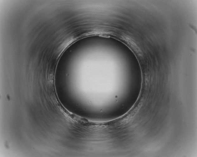 X0000098011185200803281305