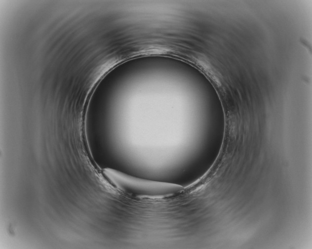 X0000098011186200803281305