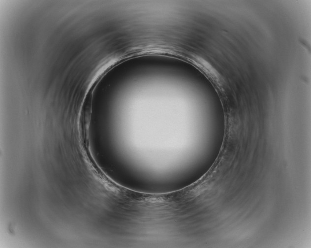 X0000098011190200803281305